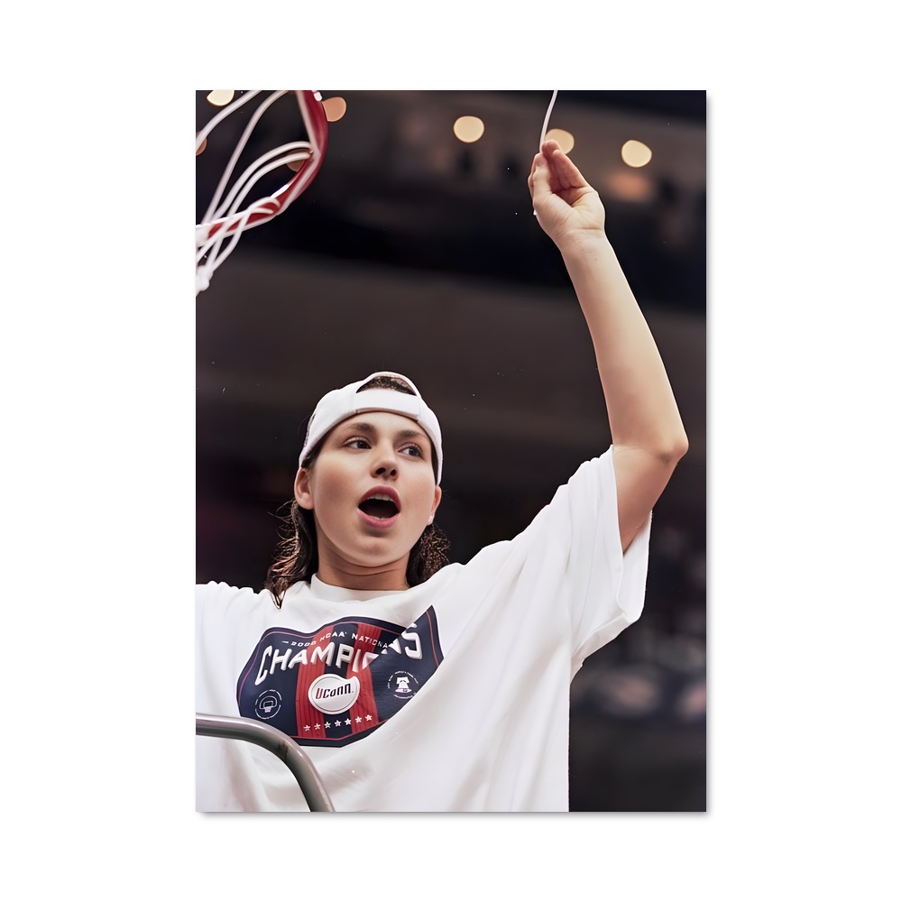 Poster Hoop Dreams – affiche Basketball